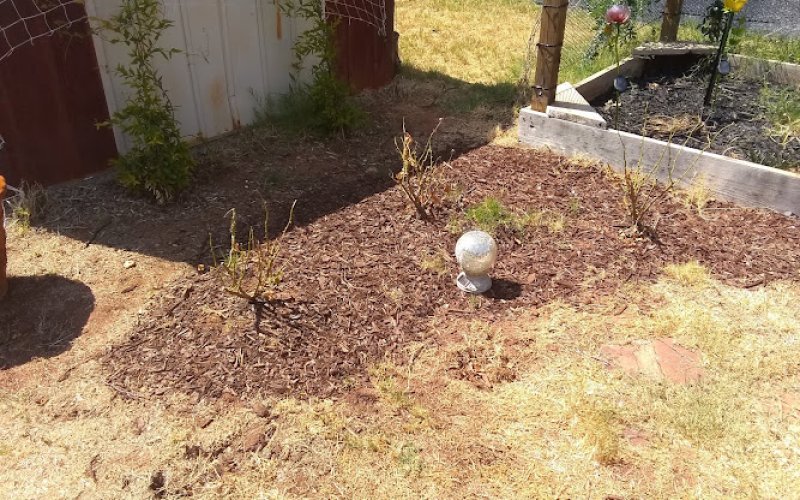 Mankin & Sons Gardens Inc