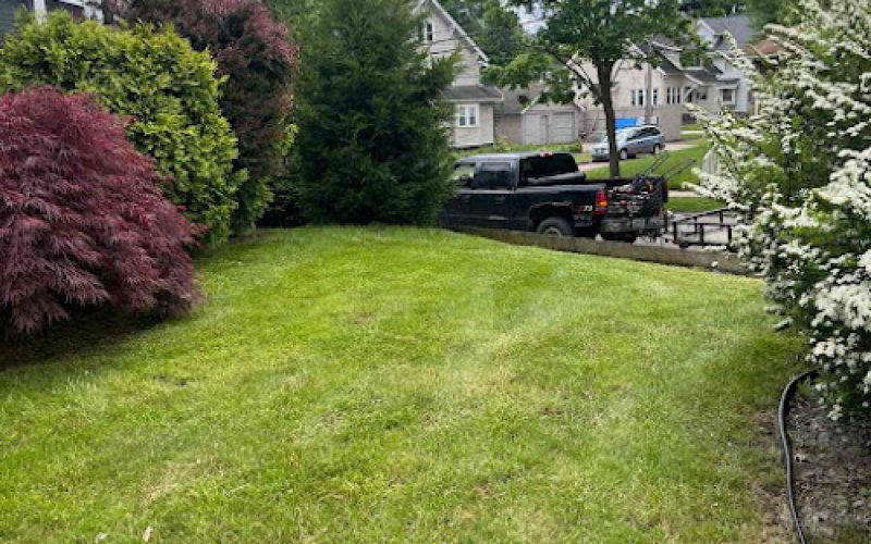 Lawn Love Lawn Care of Akron