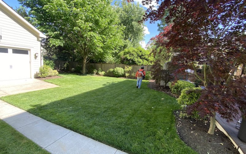 AP Landscapers