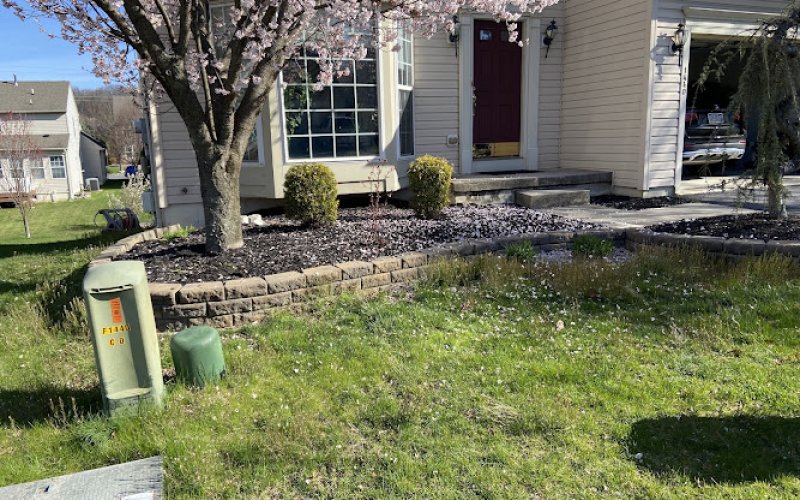 D&Y Landscaping & Lawncare