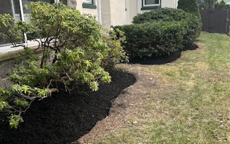 Manny's Lawn & Tree Service