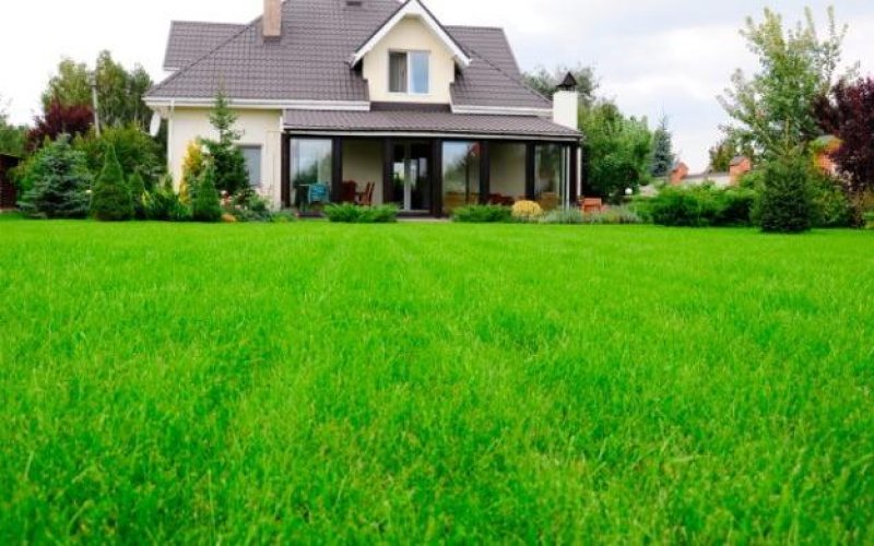 Sunrise Landscape LLC