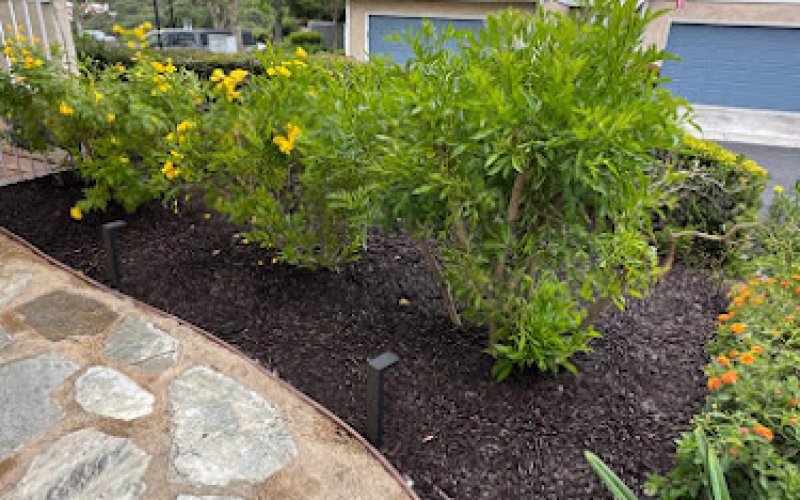 Luis Hernandez Landscaping