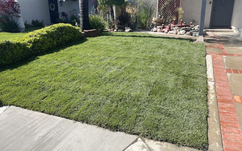 Williams Landscape Construction