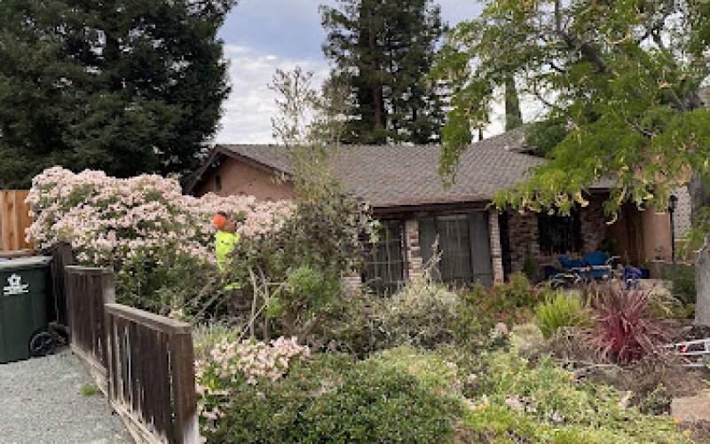Ledezma Landscaping Llc
