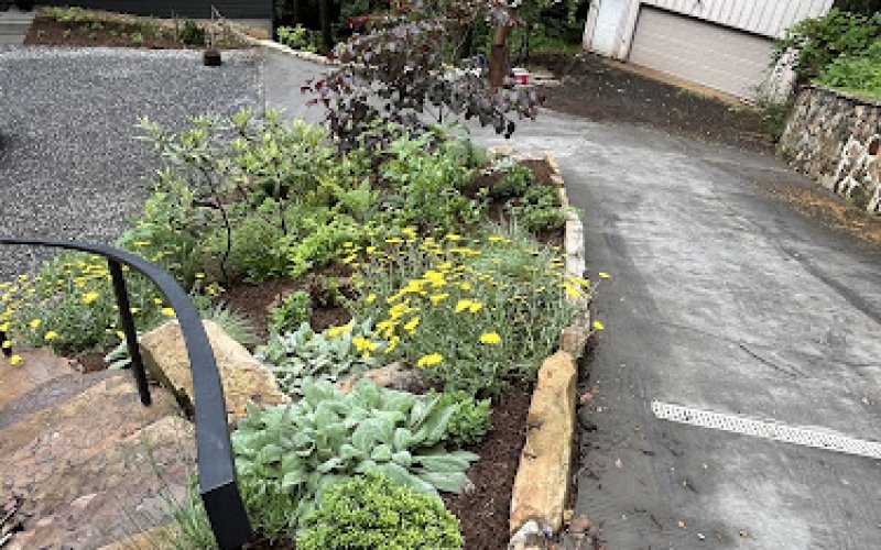 Mountains to Sea Custom Landscaping