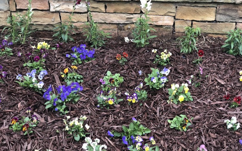 Freshcut Landscaping