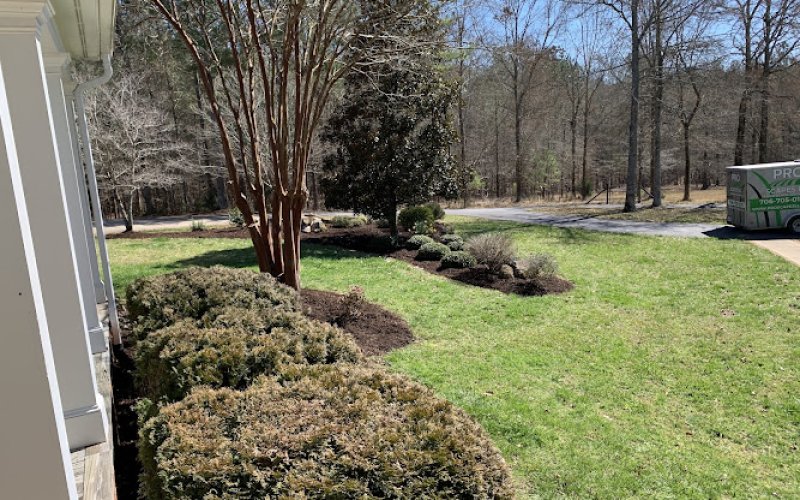 Pro Scapes LLC