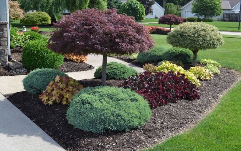 Affordable Landscaping Services LLC