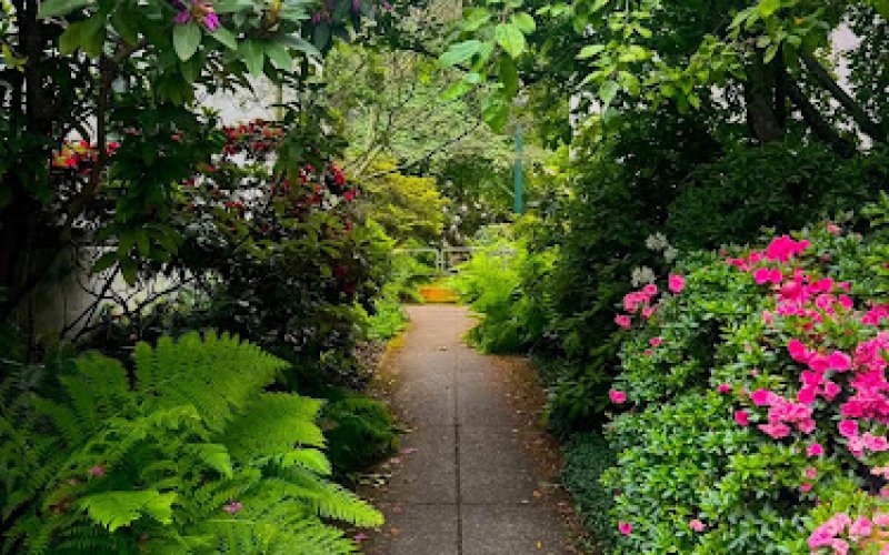 Reliable Landscaping Atlanta