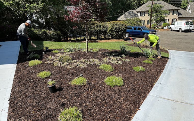 Verified Outdoor Services