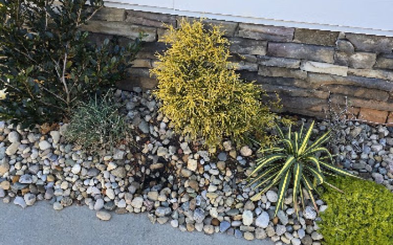 Rollin's Landscape Co., Inc.