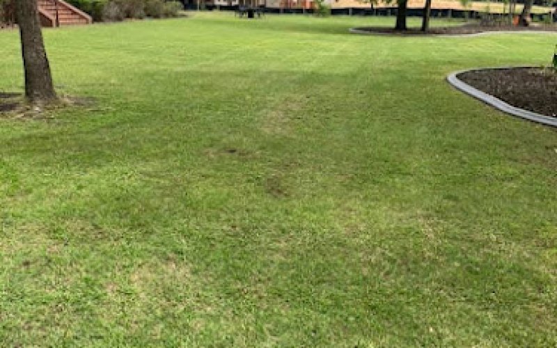 scapegoat landscaping LLC