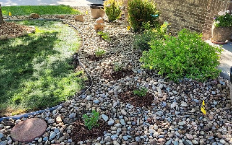 Cherry Bomb Landscaping