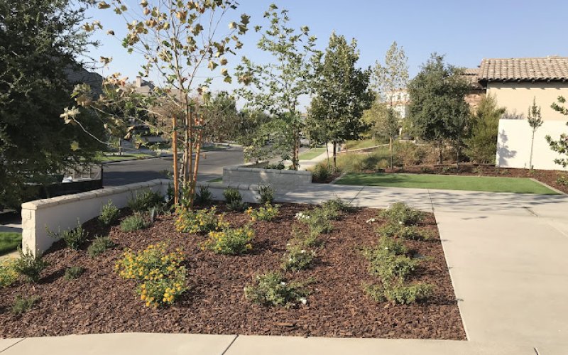 Lesaca Landscape Company, Inc.