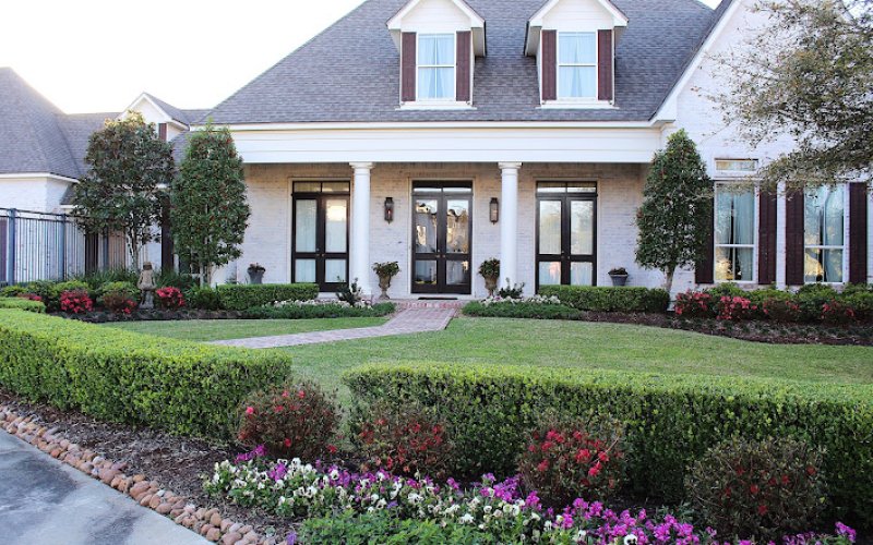 Texas Green Landscapes