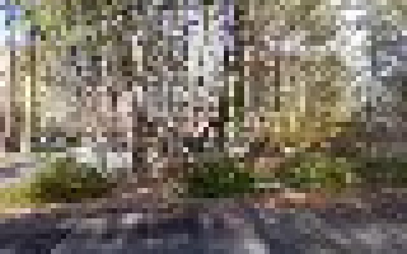 Butch & Troy Landscaping Inc