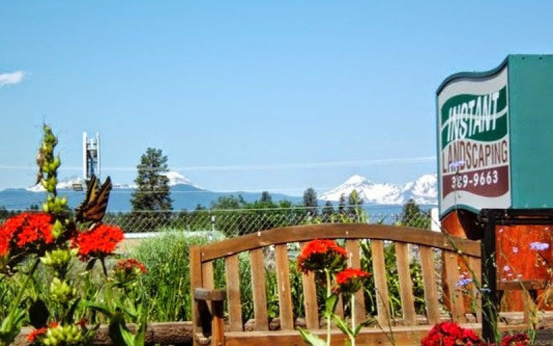 Instant Landscaping Co
