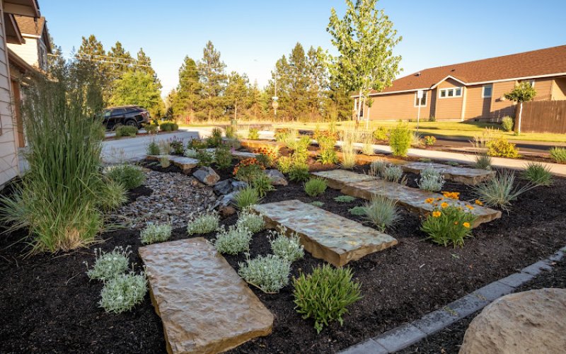 Newport Avenue Landscaping
