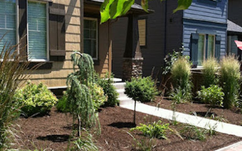 Organicscapes INC.