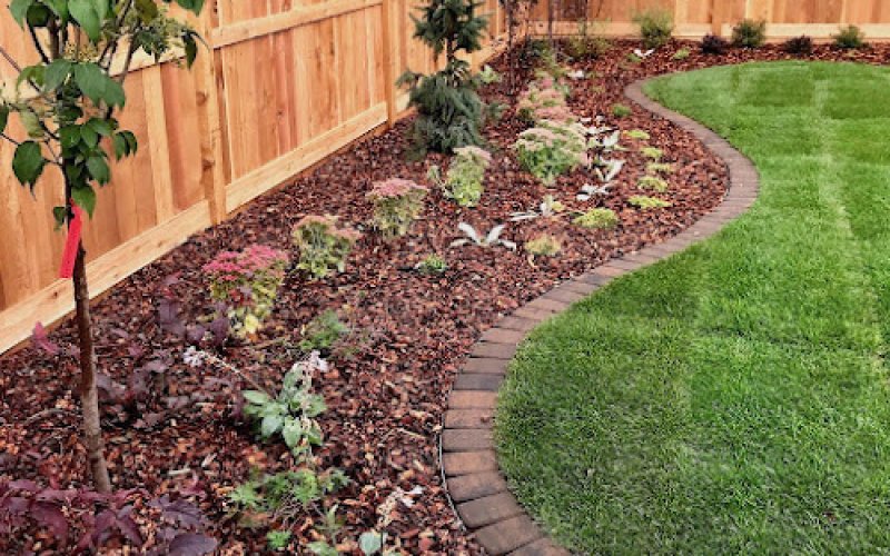 Berkeley Landscape Design