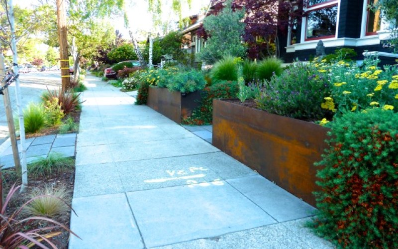 Latitude 37° Landscape + Design