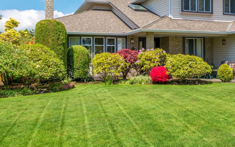 Frickle's Lawn & Landscape