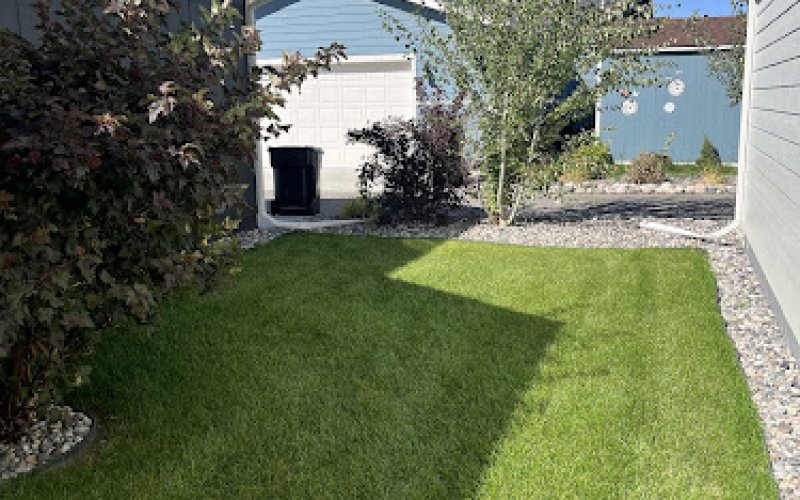 Green Magic Lawn and Landscape - SavATree