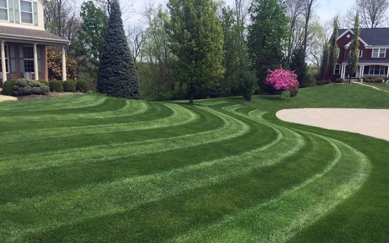Greener Grounds Lawn & Tree