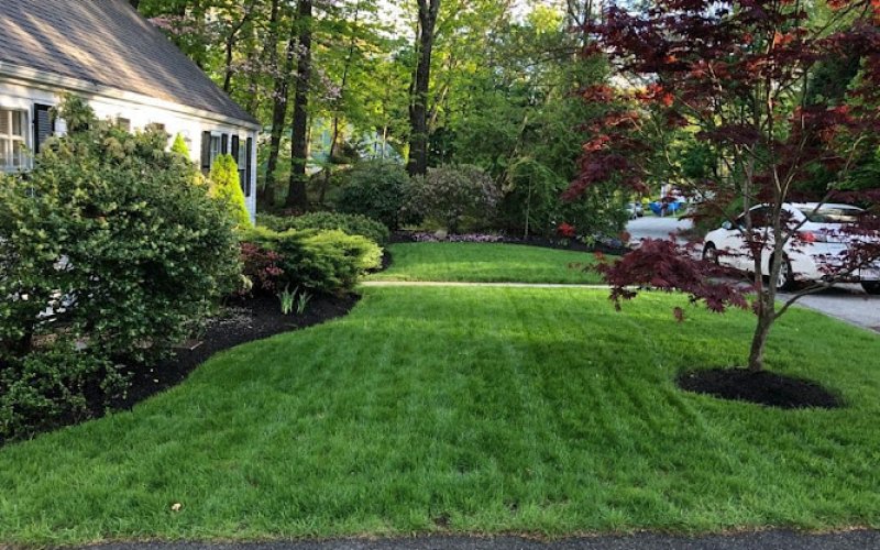 Ideal Lawn Care