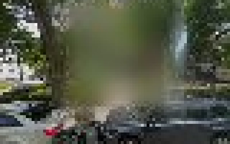 McDonough Landscaping