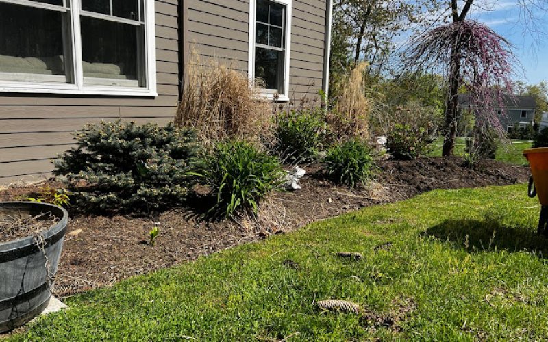 M&G Landscaping & Lawn Care LLC