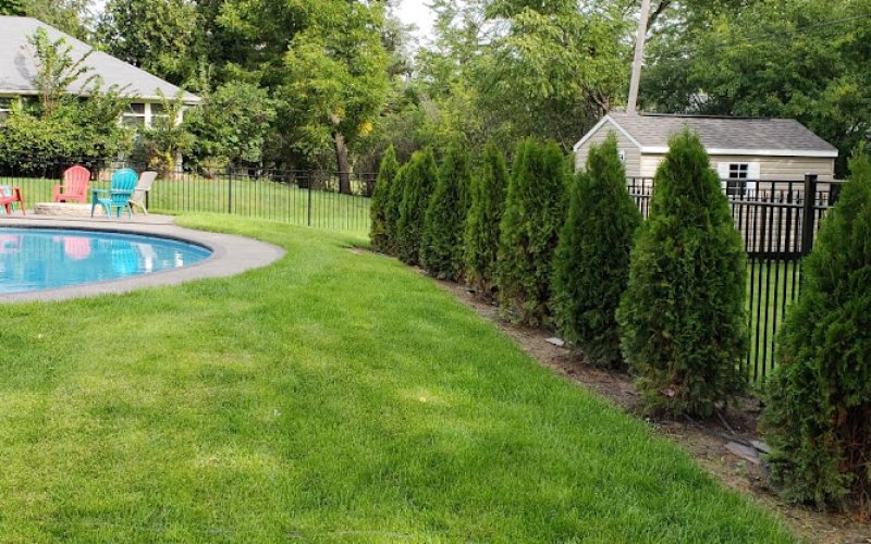 Landscape For Less of Western New York