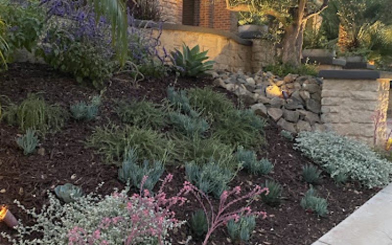 Megan Lowe Landscape Design