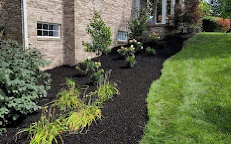 Rogers Tree Service & Landscaping LLC