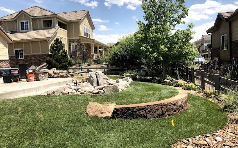 Tran Landscaping and Maintenance