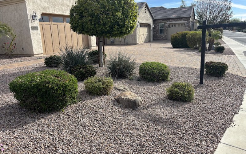 Pedro and Sons Landscaping LLC