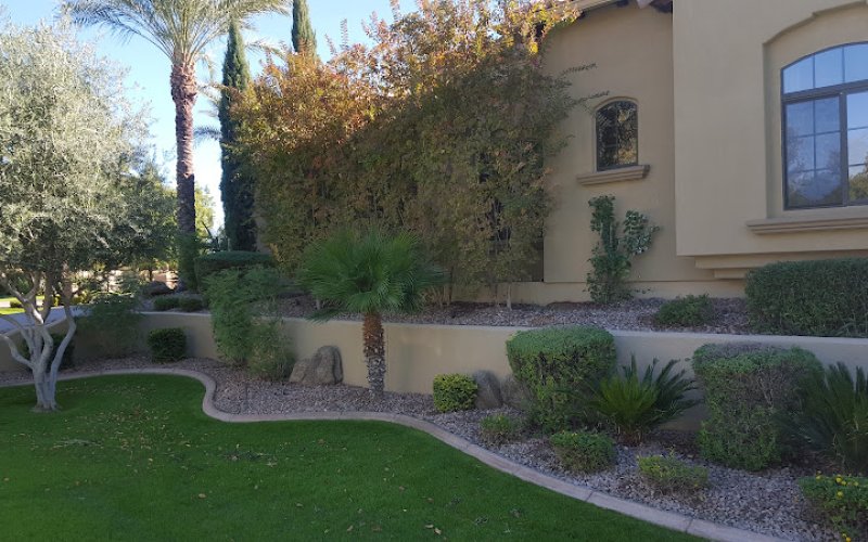 Silver Fern Landscaping