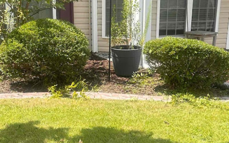 LawnStarter