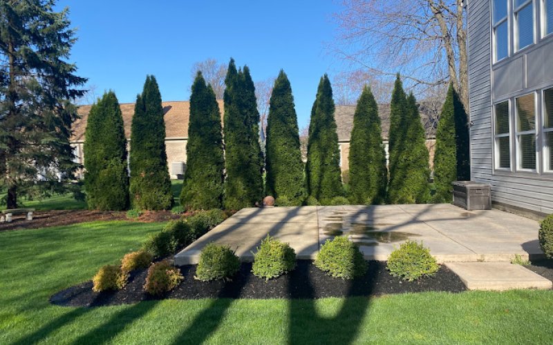 Must Lawn & Landscape LLC