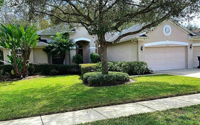 Clearwater Landscaping