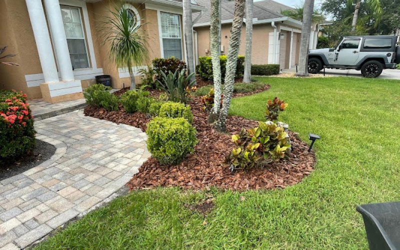 The Panthers Professional Landscaping
