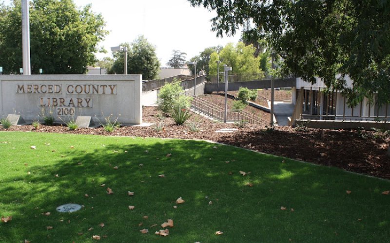 Elite Landscape Construction