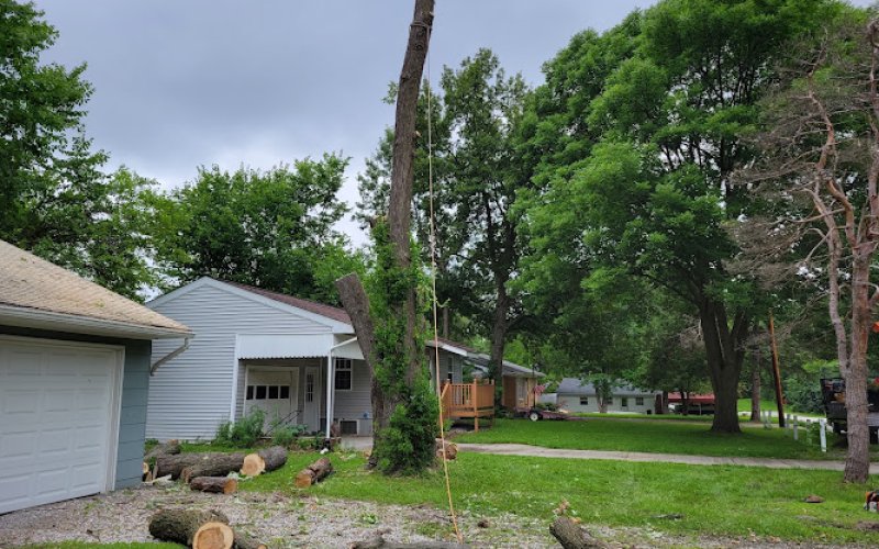 Voss Landscape & Tree Service