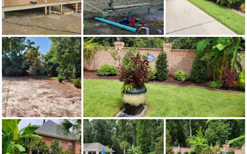 Mendoza Landscaping Columbia SC
