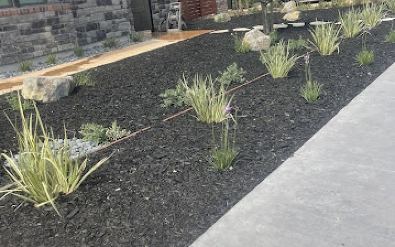 Bautista Landscaping