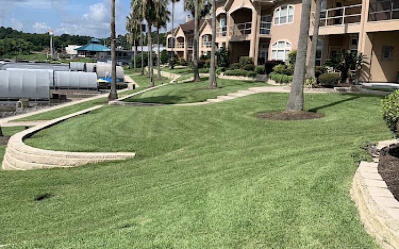Protex Landscaping LLC