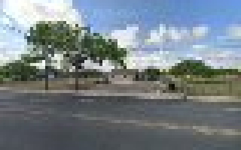 Williams St Nursery & Landscaping