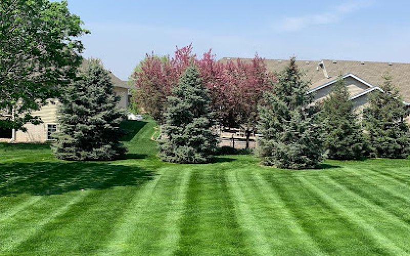 Goldermann Lawn & Landscape