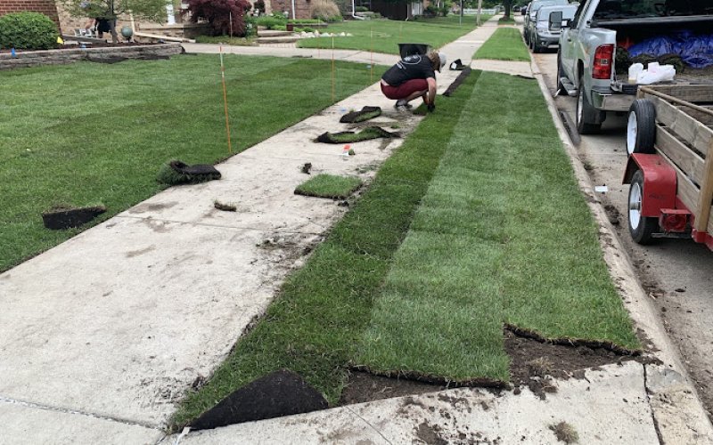 Detroit Landscaping Company